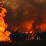 Capturing wildfire events with dramatic flames and smoke enveloping a forest landscape.