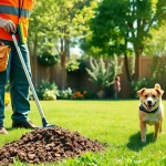 Weekly dog poop scooping service with a professional technician cleaning a backyard.